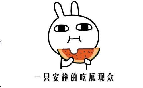 吃瓜了是啥意思,网络热词背后的文化现象